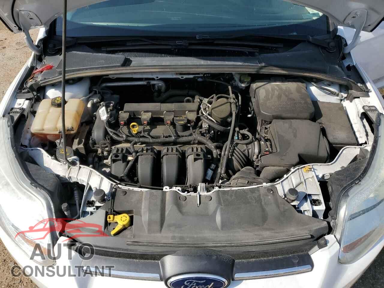 FORD FOCUS 2014 - 1FADP3F29EL369538