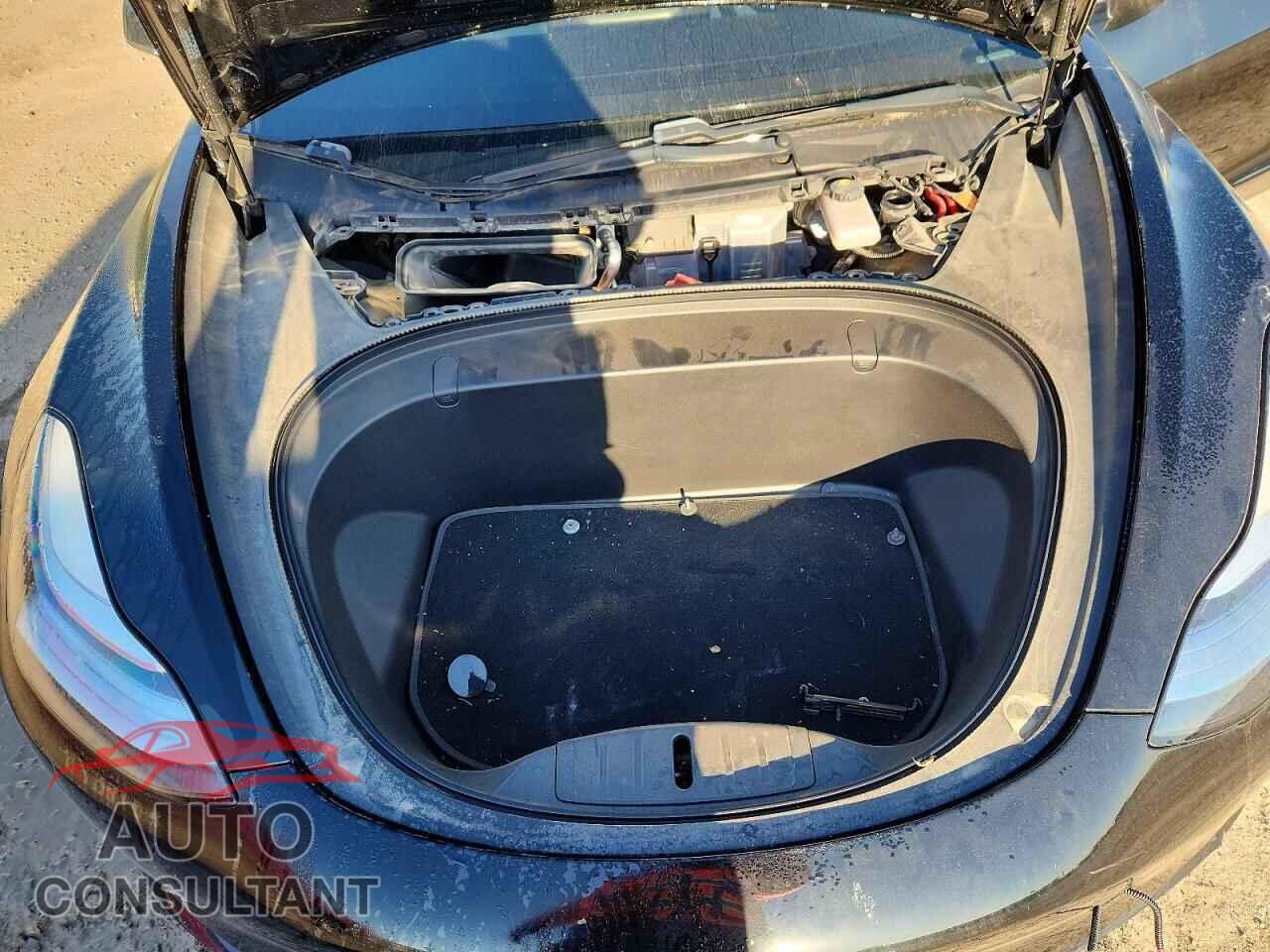 TESLA MODEL 3 2019 - 5YJ3E1EB3KF213950