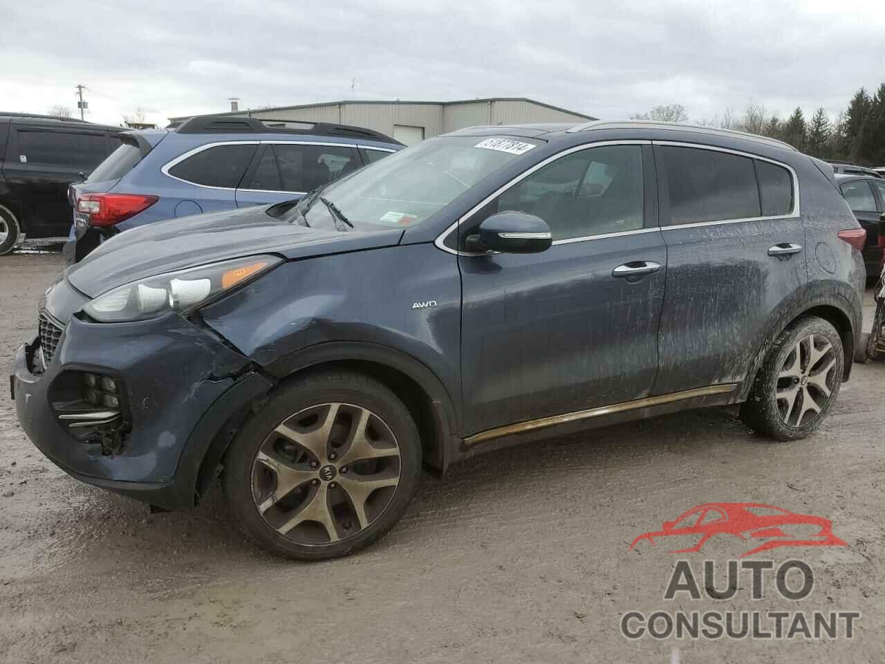 KIA SPORTAGE 2017 - KNDPRCA64H7280646