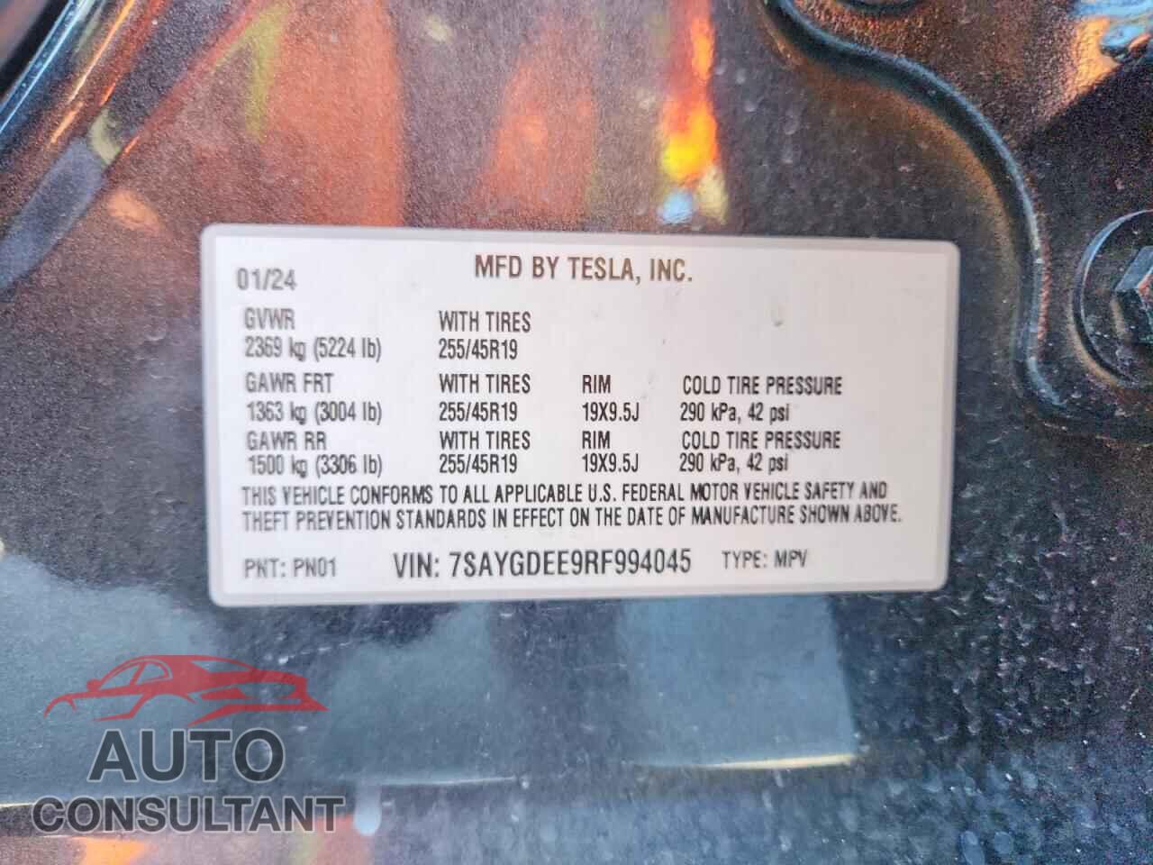 TESLA MODEL Y 2024 - 7SAYGDEE9RF994045