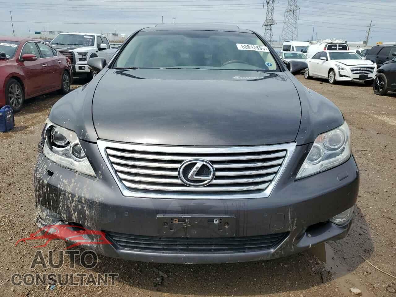 LEXUS LS460 2010 - JTHCL5EF5A5005308