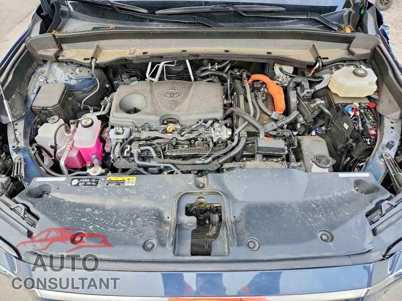 TOYOTA ALL OTHER 2024 - 5TDACAB52RS014423