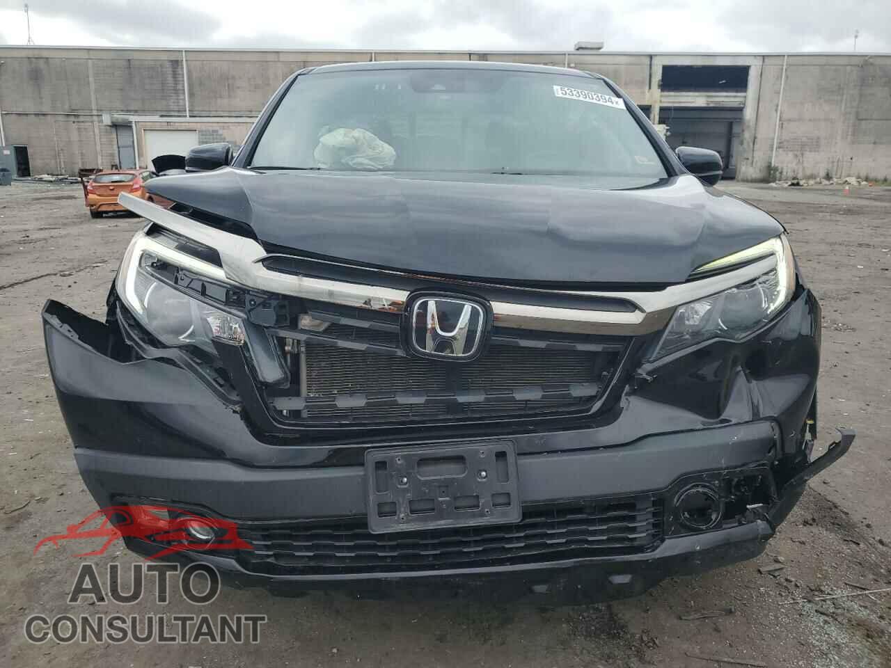 HONDA RIDGELINE 2019 - 5FPYK3F89KB007021