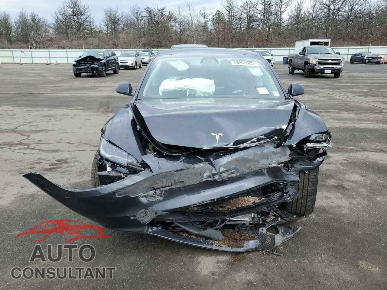 TESLA MODEL 3 2025 - 5YJ3E1EB3SF975742