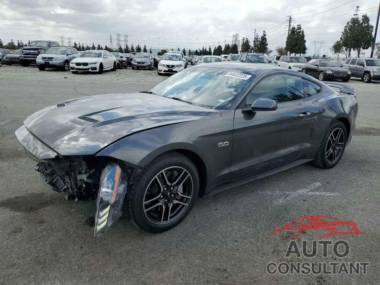 FORD MUSTANG 2019 - 1FA6P8CF3K5202007