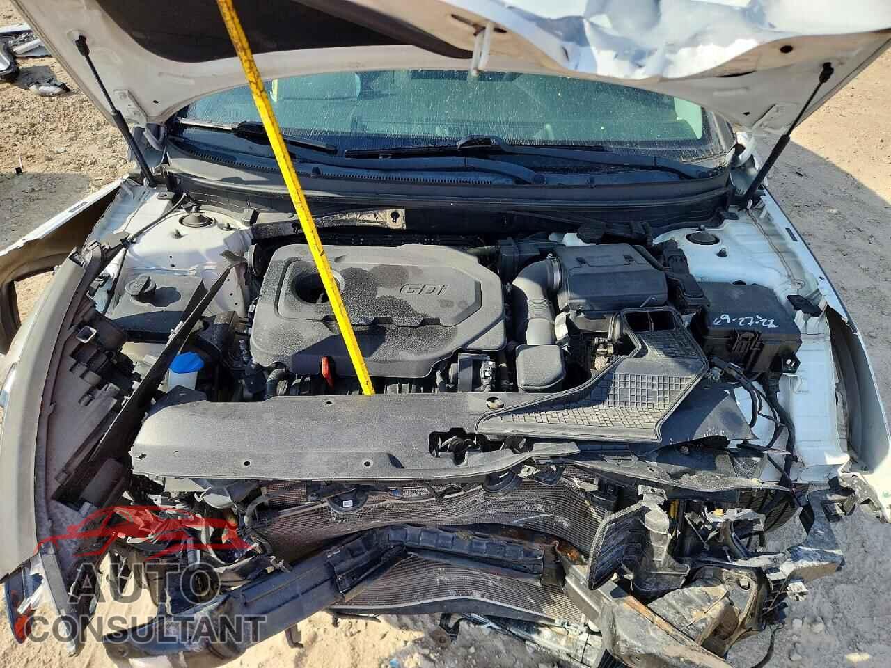 HYUNDAI SONATA 2019 - 5NPE34AF6KH773603