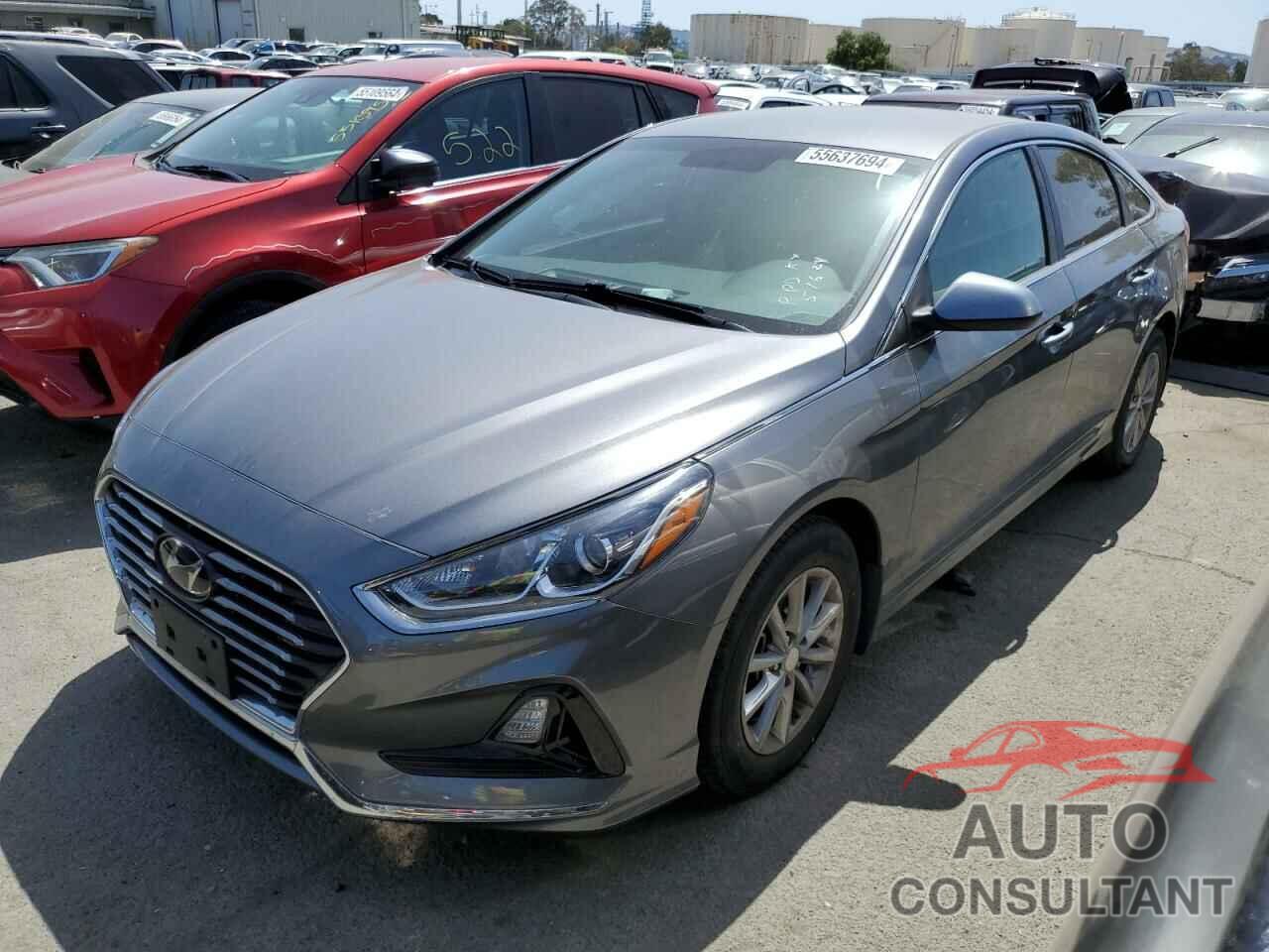 HYUNDAI SONATA 2019 - 5NPE24AF6KH737817