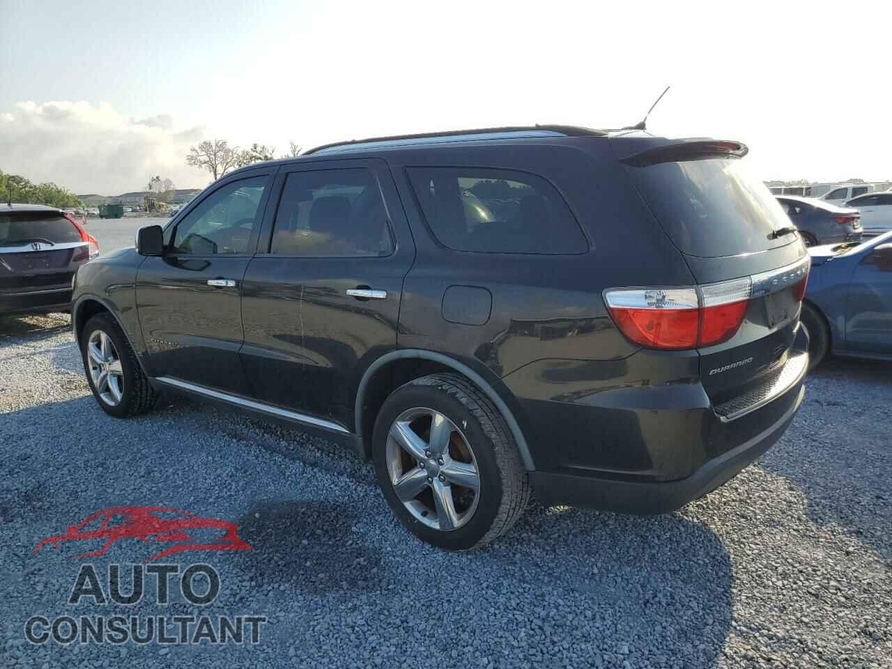 DODGE DURANGO 2011 - 1D4RD5GG8BC695036