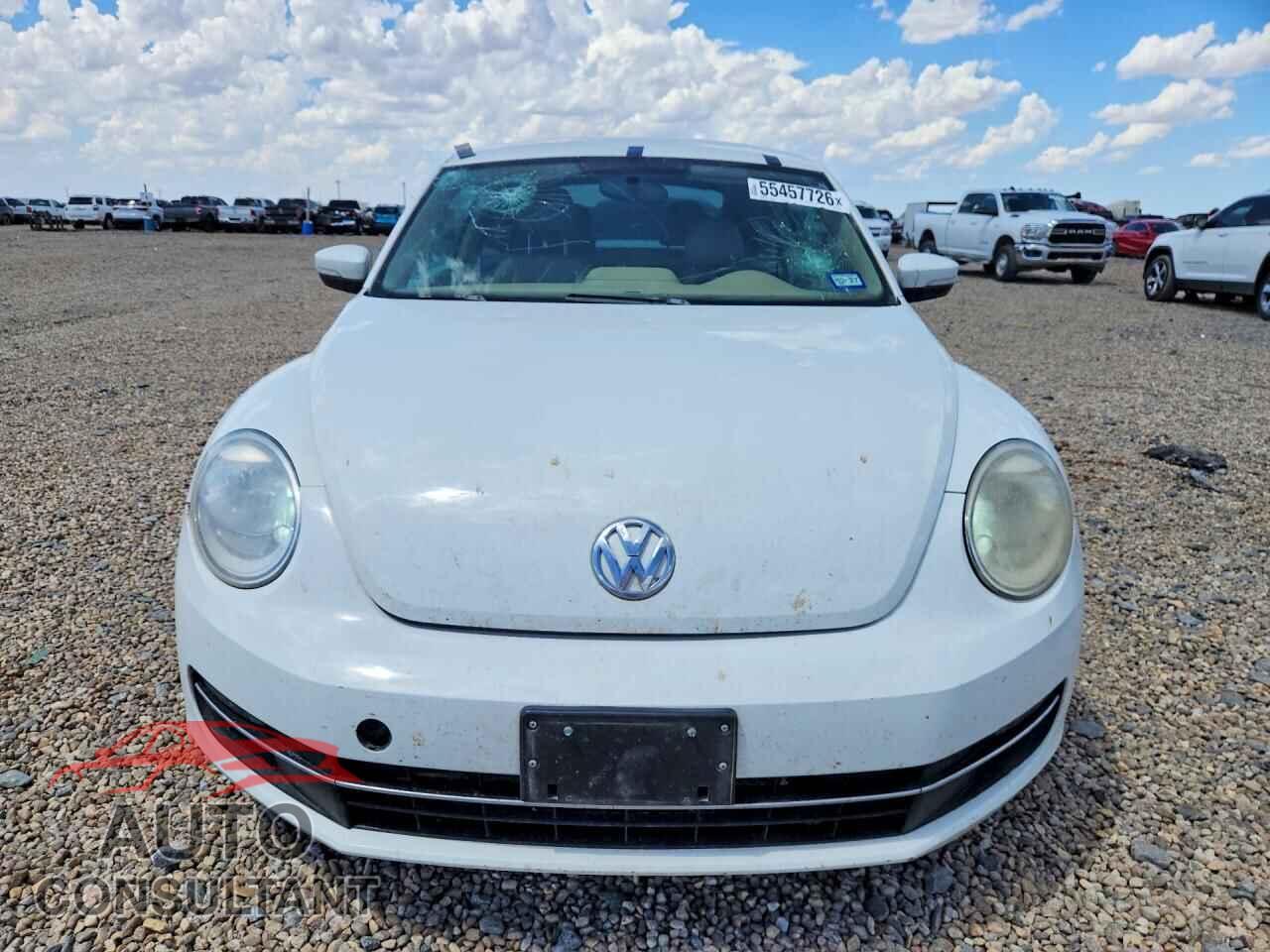 VOLKSWAGEN BEETLE 2014 - 3VWRL7AT9EM654884