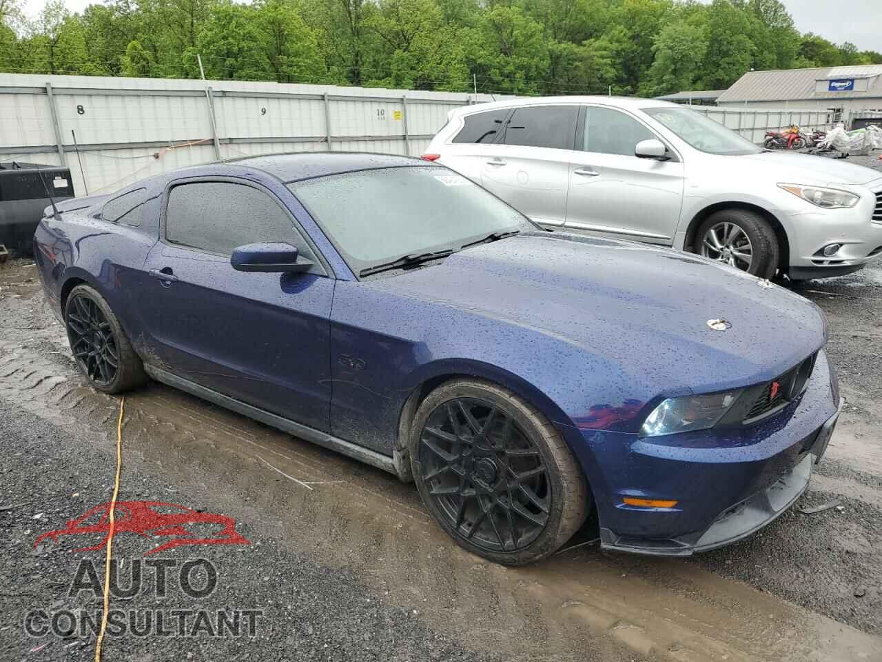 FORD MUSTANG 2011 - 1ZVBP8CF5B5130118