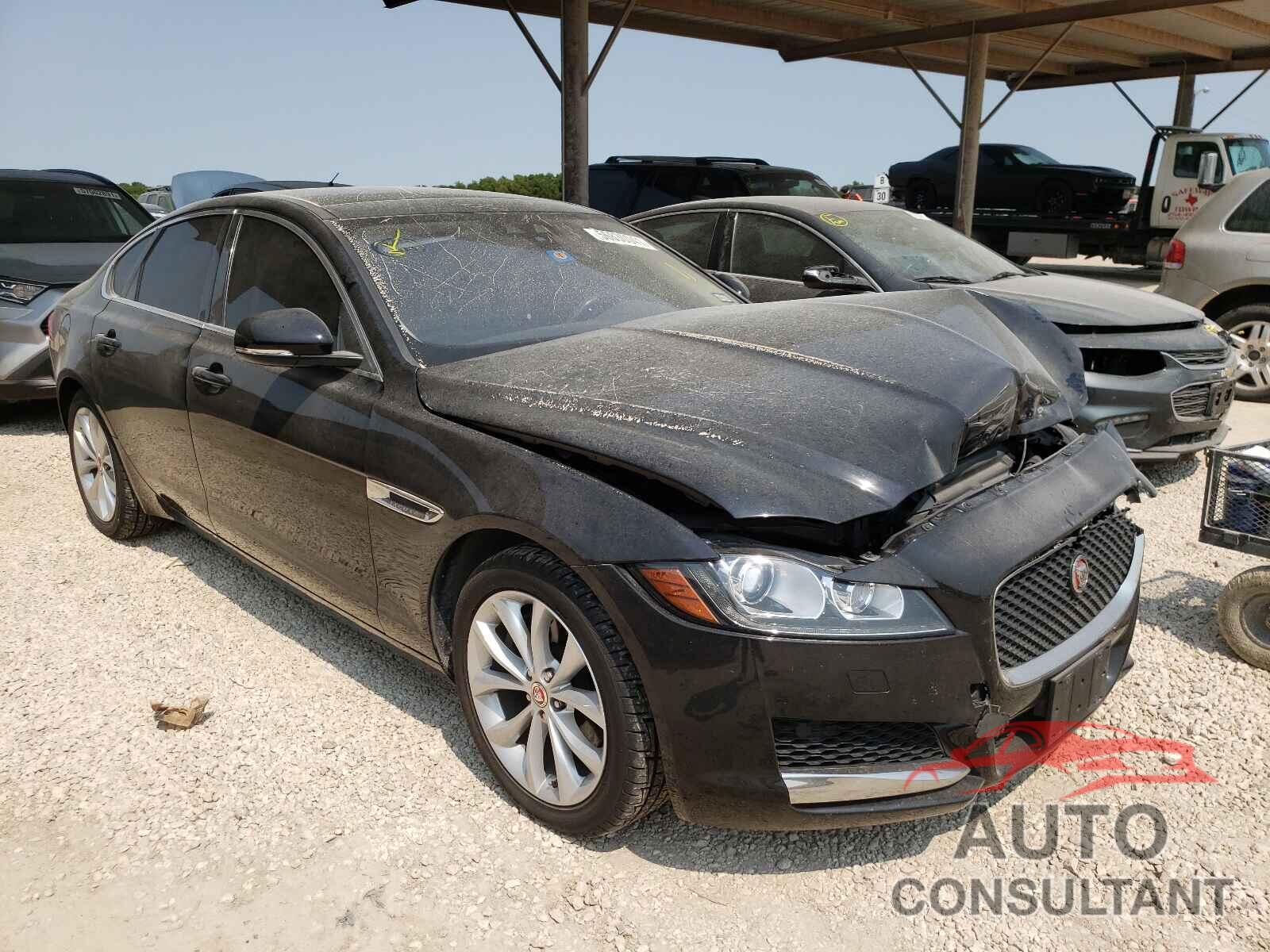 JAGUAR XF 2019 - SAJBJ4FX9KCY79339