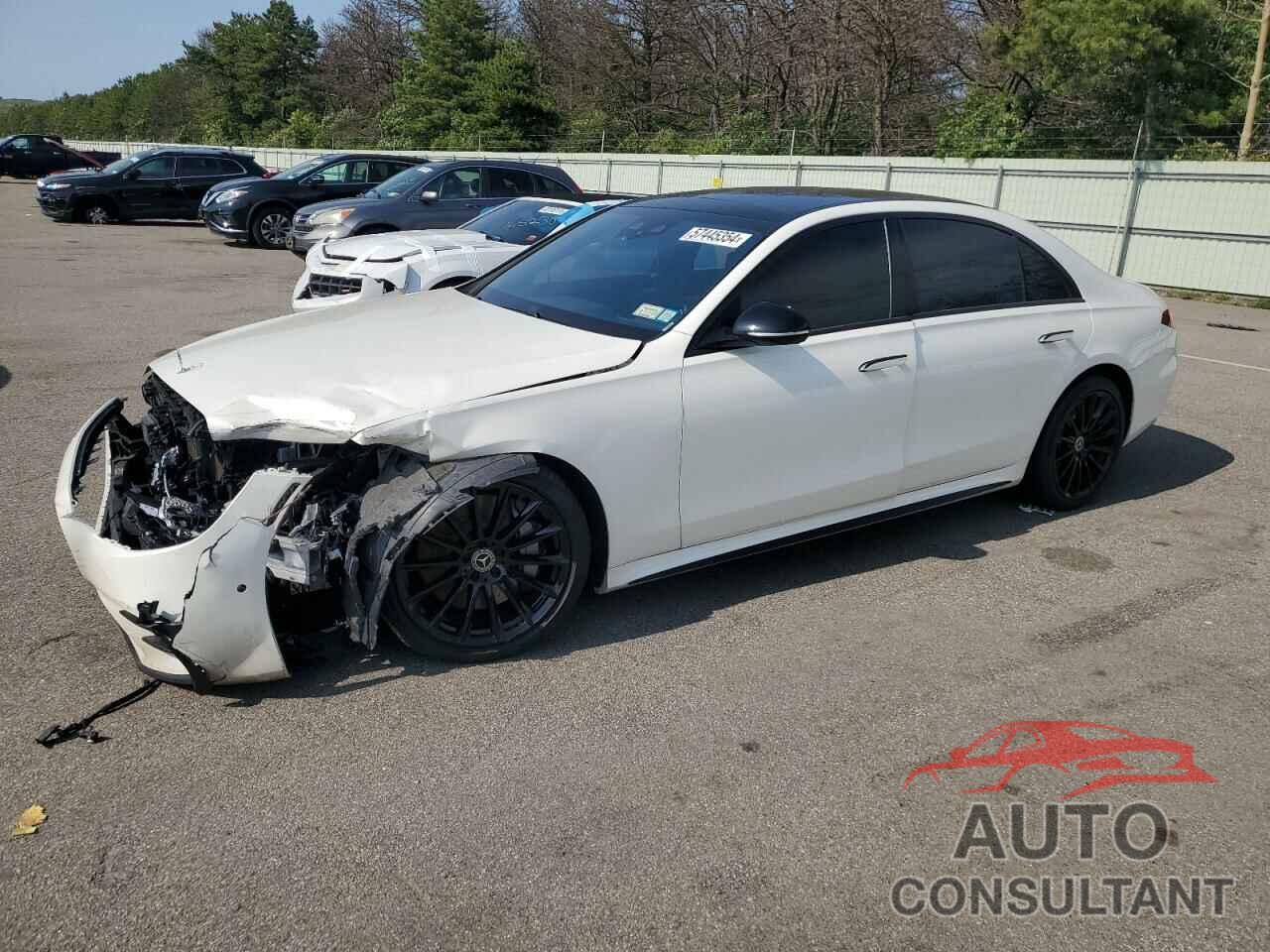 MERCEDES-BENZ S-CLASS 2021 - W1K6G7GB6MA060490