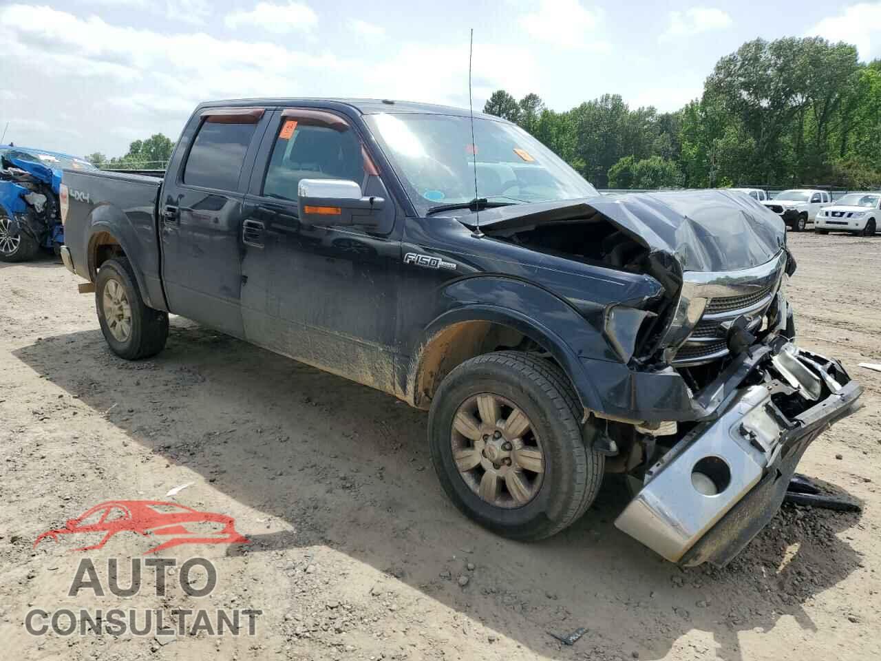 FORD F-150 2009 - 1FTPW14V59FB21447