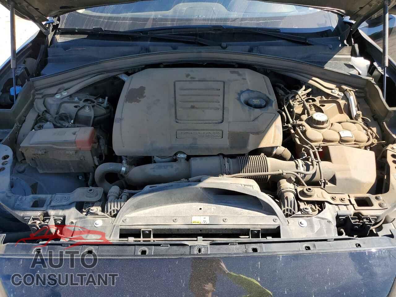 JAGUAR F-PACE 2019 - SADCJ2FX4KA369696