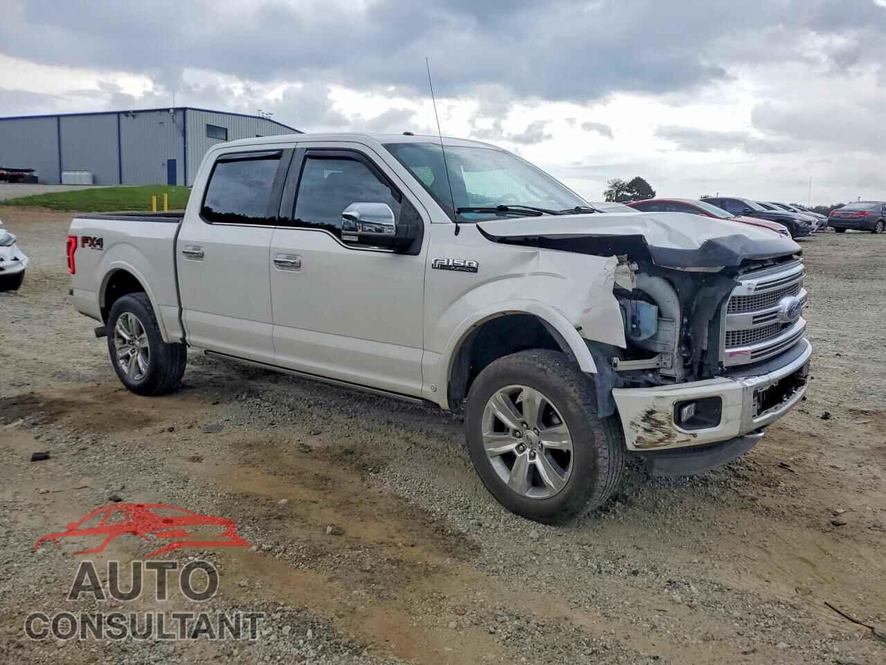 FORD F150 2015 - 1FTEW1EF4FFB38251