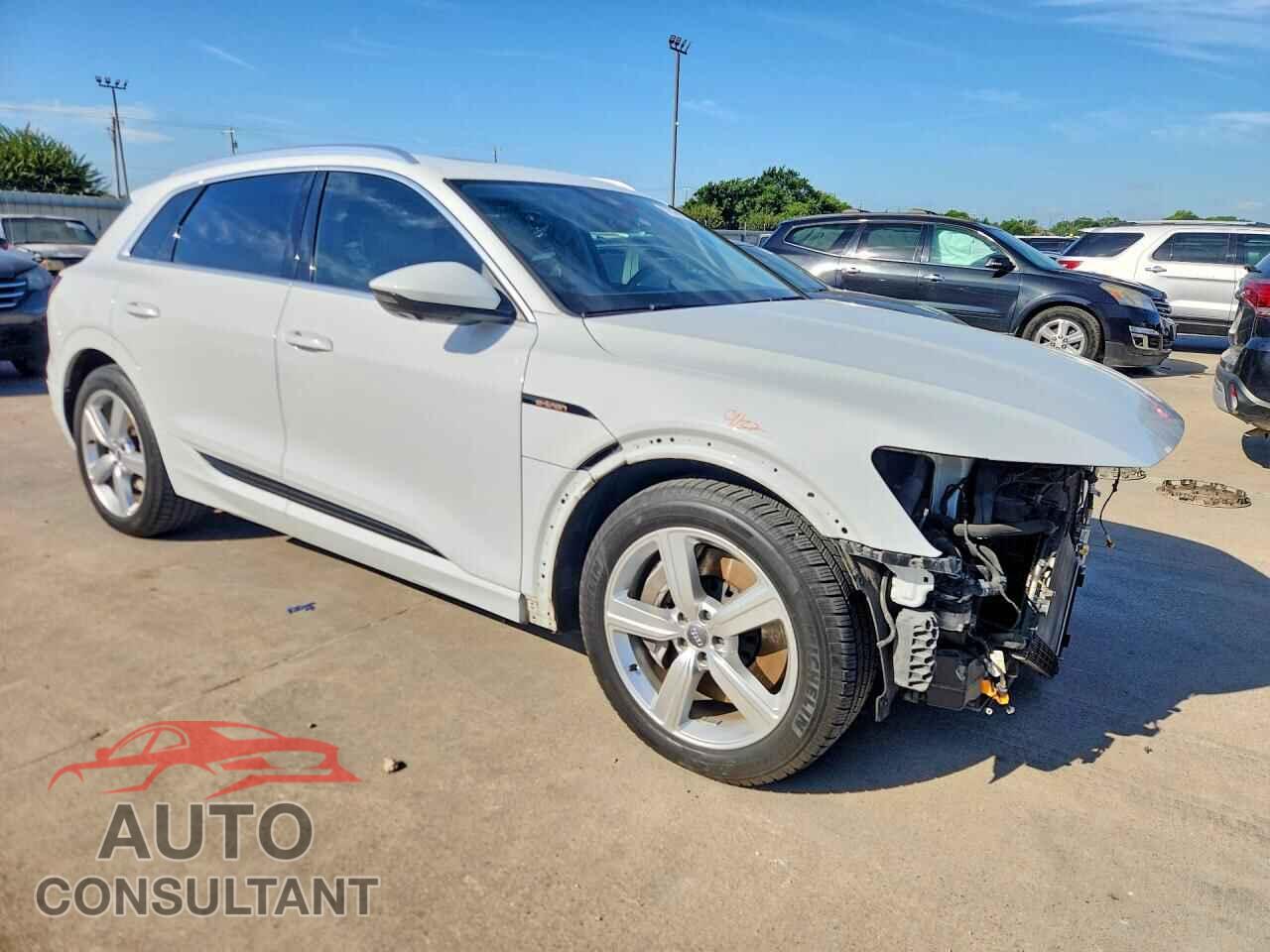 AUDI E-TRON 2019 - WA1LAAGEXKB009033