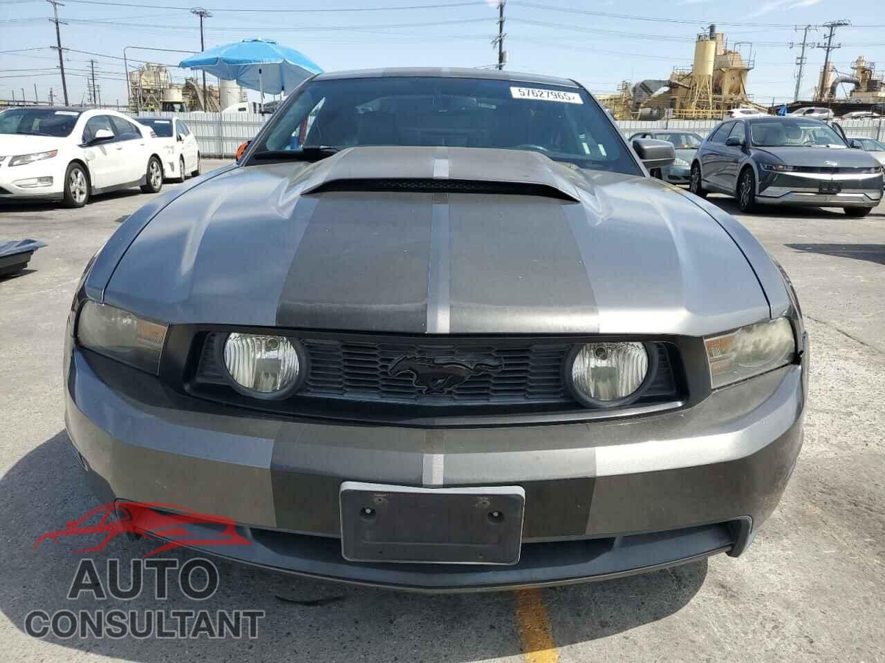 FORD MUSTANG 2010 - 1ZVBP8CH6A5152256