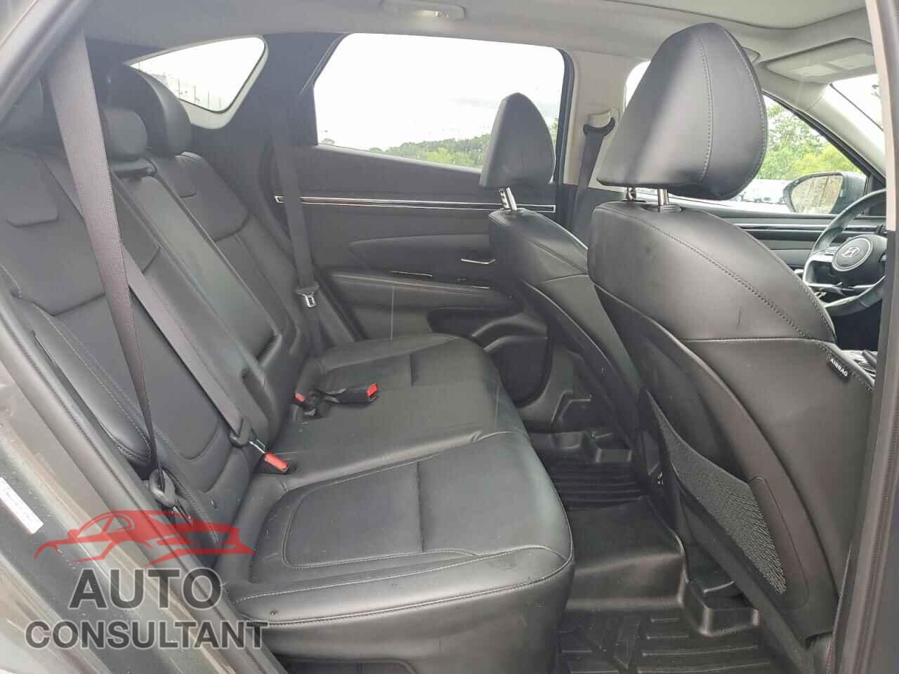 HYUNDAI TUCSON 2023 - KM8JFCA19PU090632