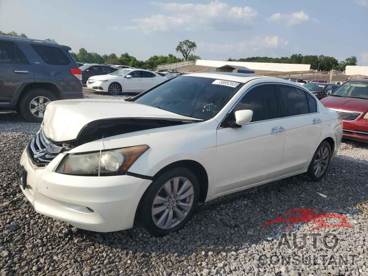 HONDA ACCORD 2011 - 1HGCP3F85BA005801