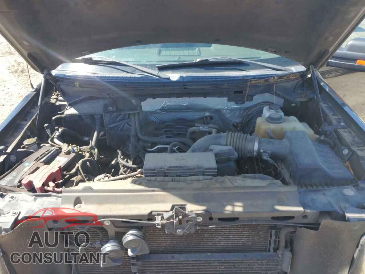 FORD F-150 2011 - 1FTFX1CF2BFC30991