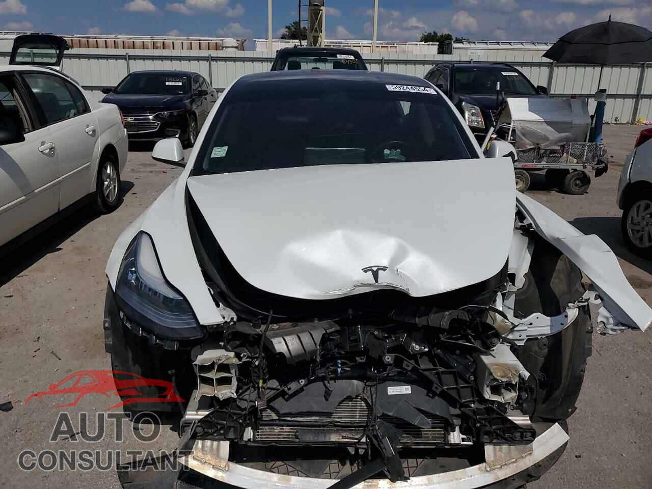 TESLA MODEL 3 2019 - 5YJ3E1EB4KF388434