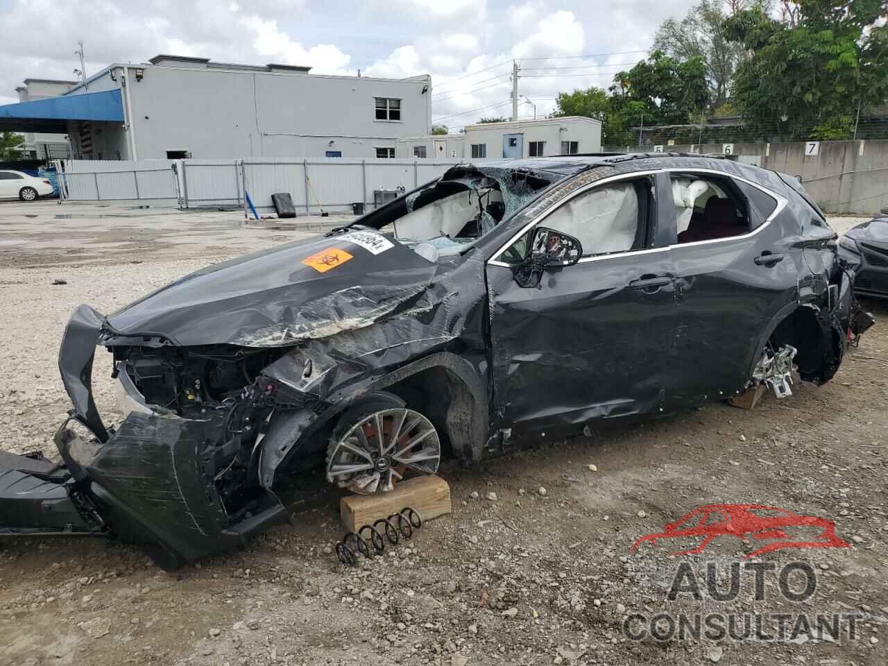 LEXUS NX 250 PRE 2024 - JTJGDCAZ8R5022245