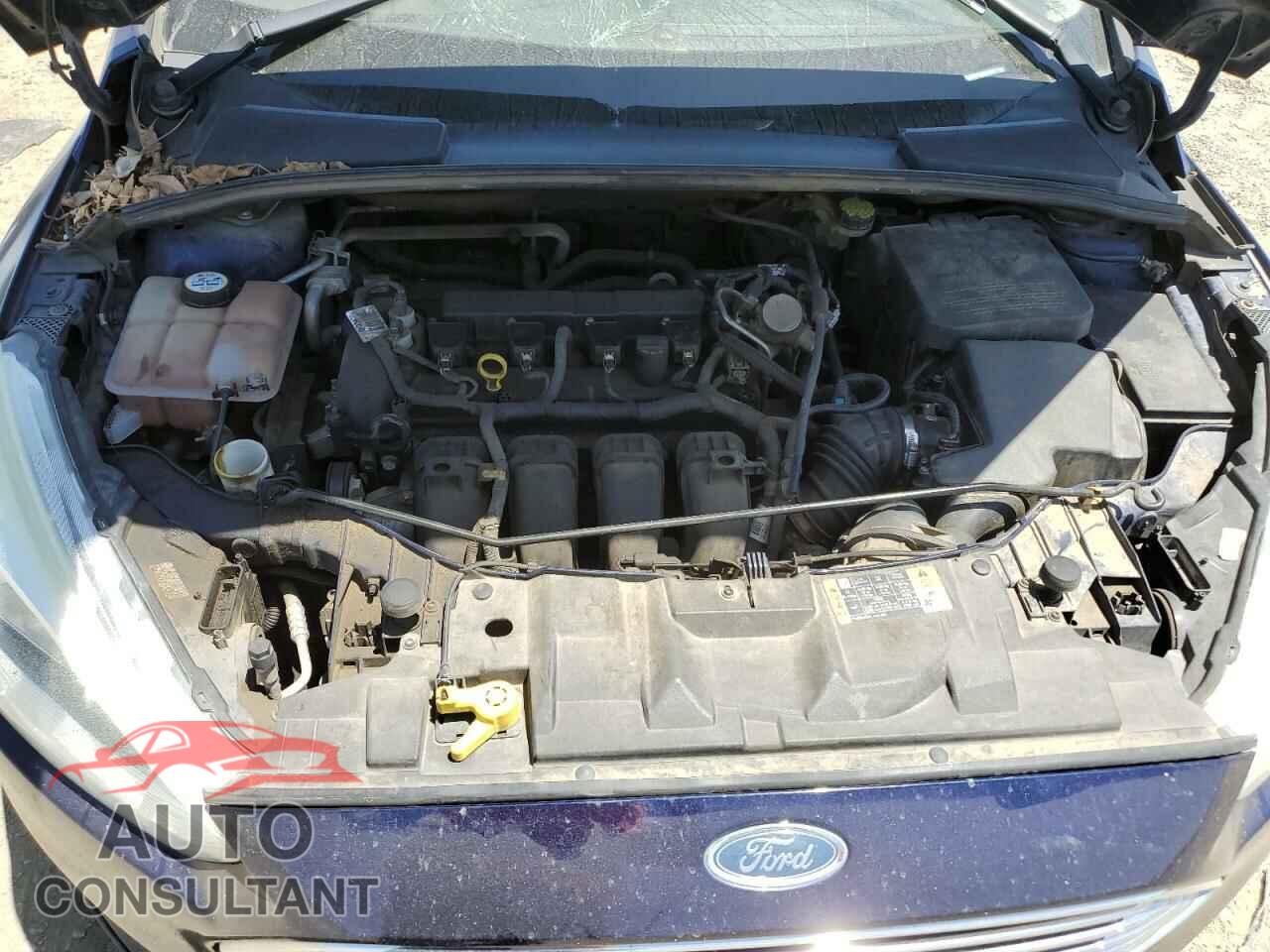 FORD FOCUS 2016 - 1FADP3J2XGL319399