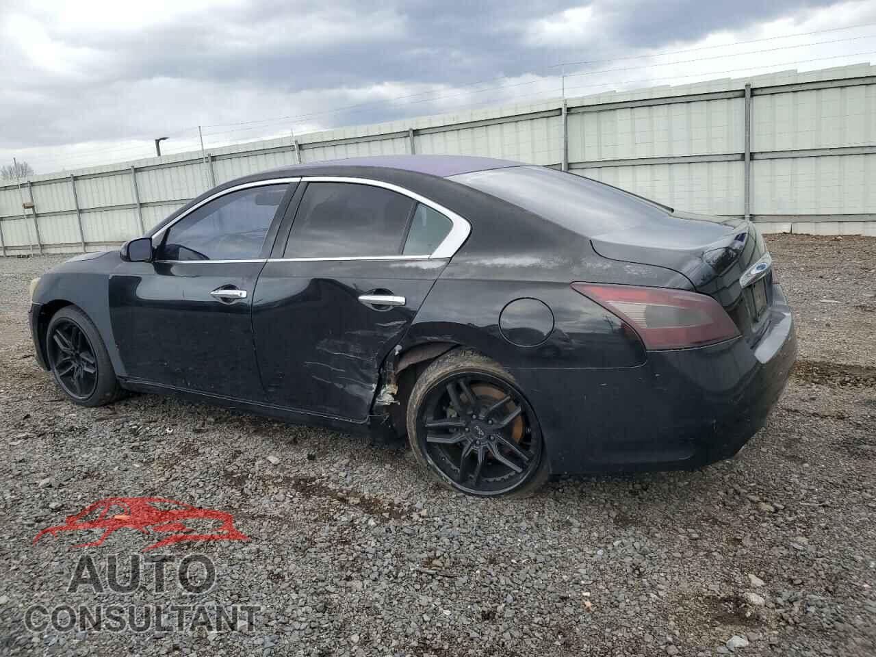 NISSAN MAXIMA 2009 - 1N4AA51EX9C838207