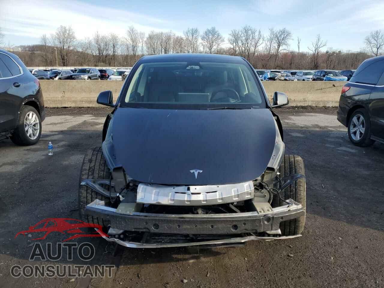 TESLA MODEL Y 2024 - 7SAYGDED1RF016792