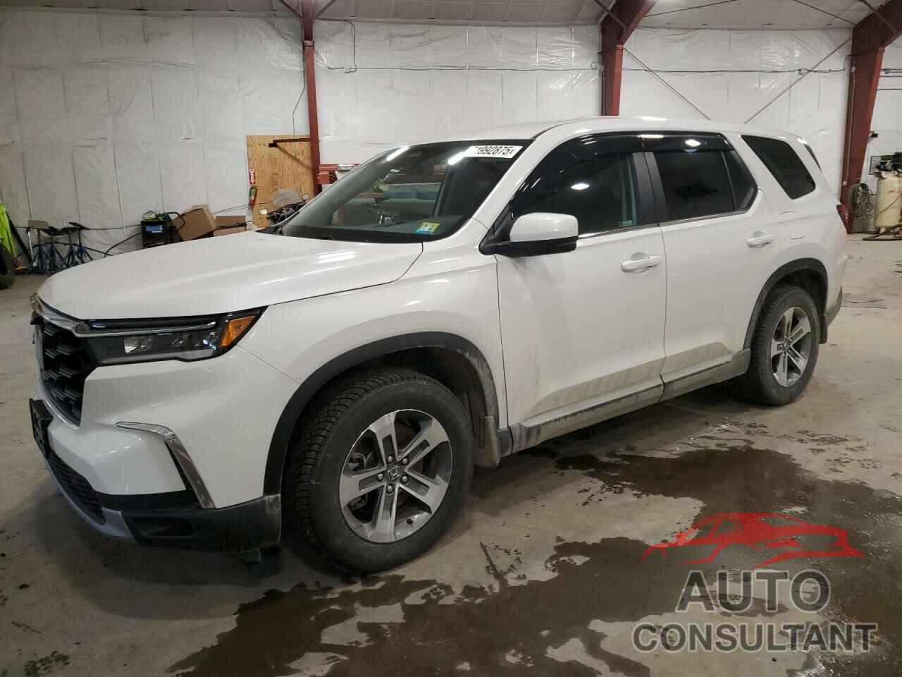 HONDA PILOT 2023 - 5FNYG1H50PB025108