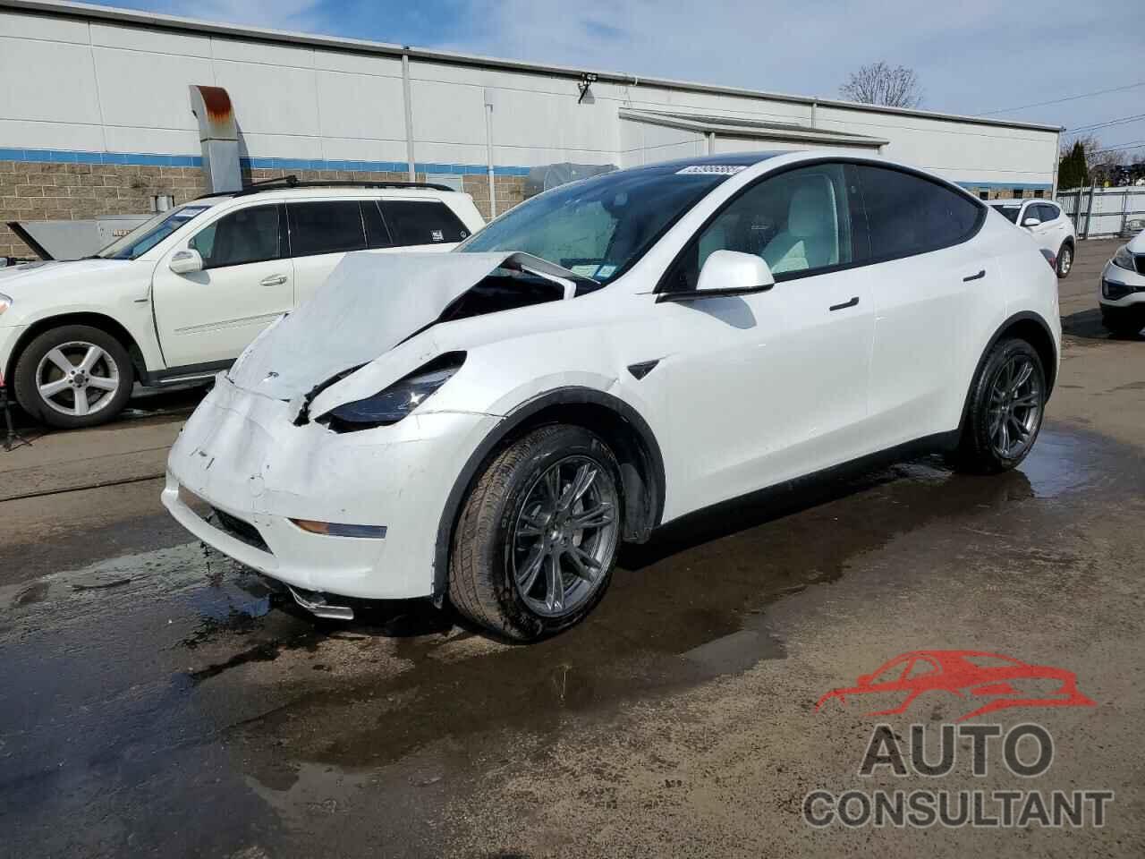 TESLA MODEL Y 2024 - 7SAYGDEE6RF149685