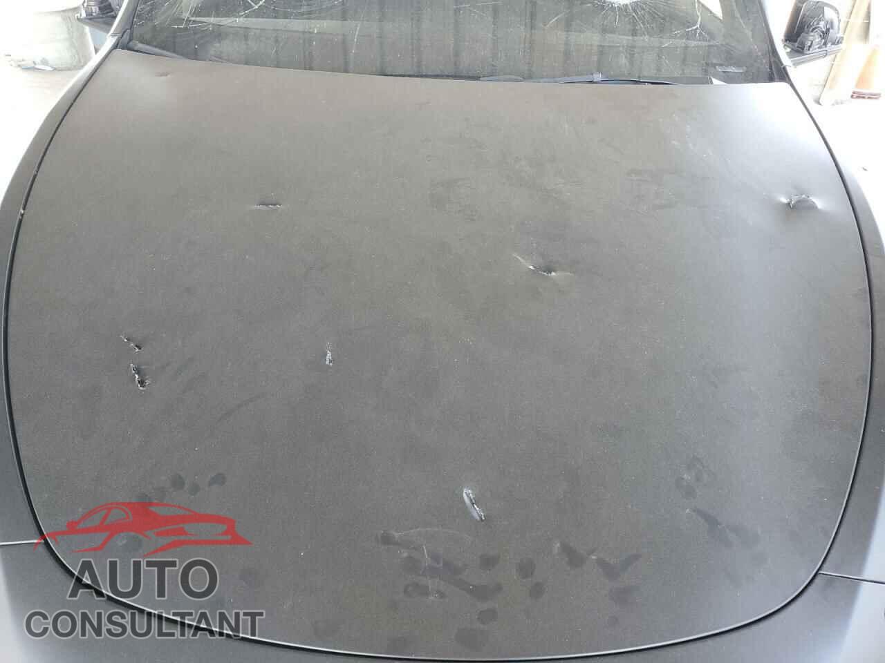 TESLA MODEL Y 2024 - 7SAYGDEFXRF037934