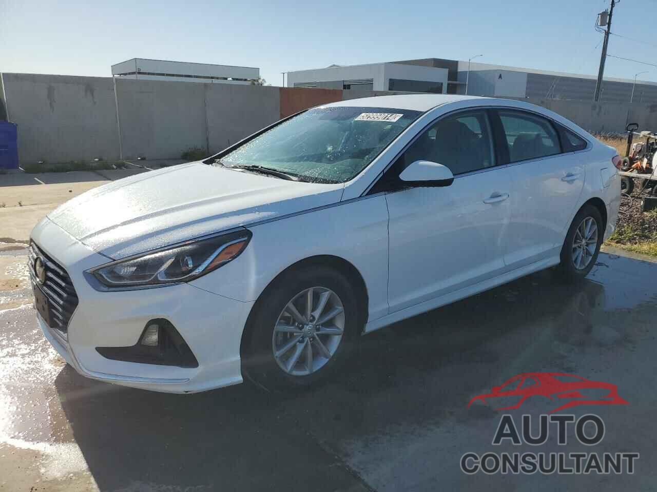 HYUNDAI SONATA 2019 - 5NPE24AF0KH792702
