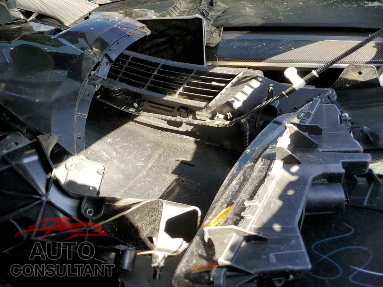 TESLA MODEL Y 2024 - 7SAYGDEF9RF076837