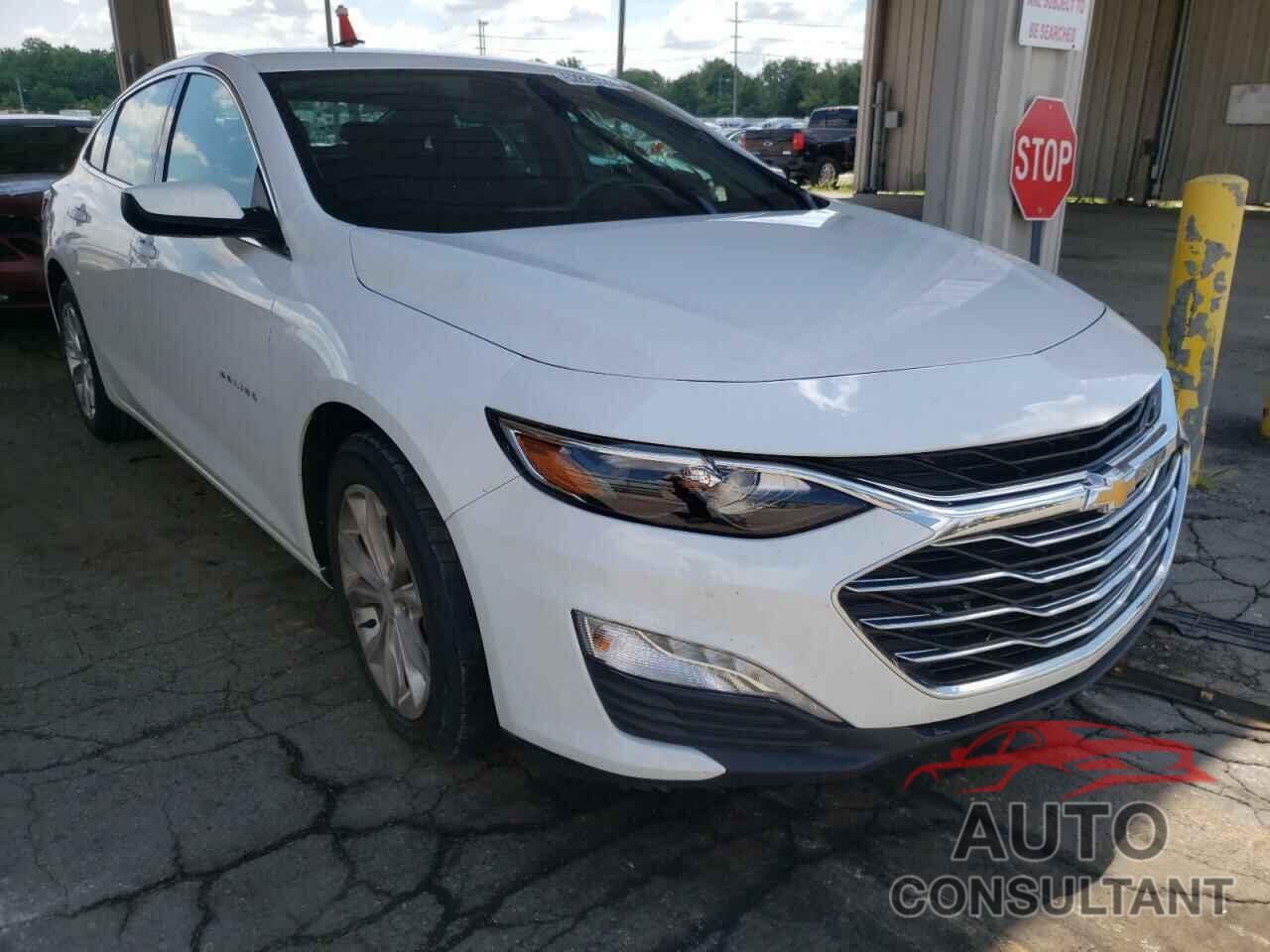 CHEVROLET MALIBU 2019 - 1G1ZD5ST4KF167941