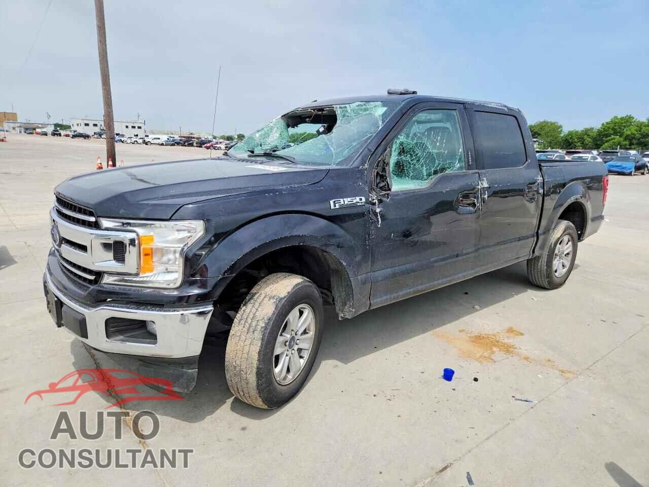 FORD F150 2019 - 1FTEW1C5XKKE16663