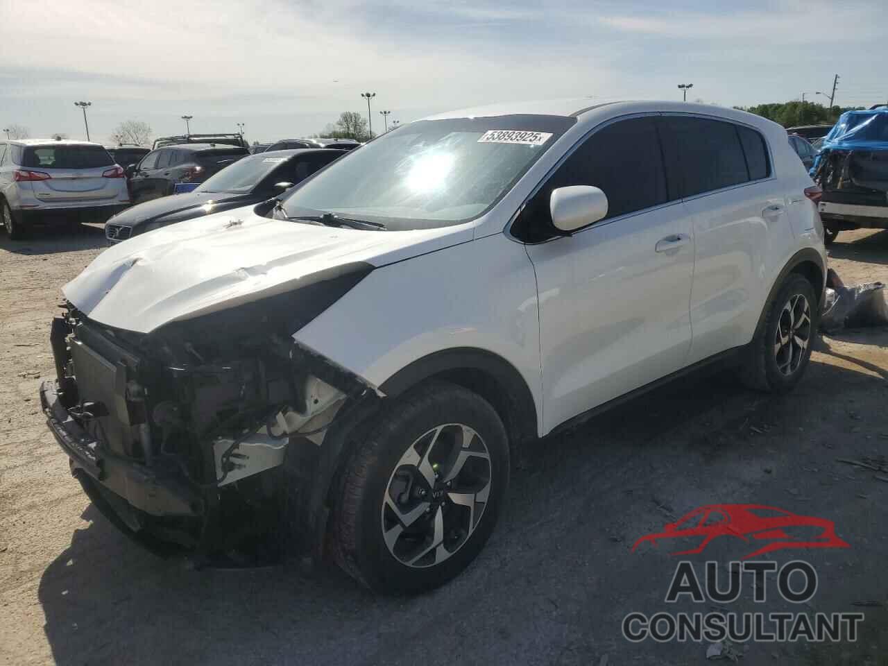 KIA SPORTAGE 2022 - KNDPM3AC0N7013388