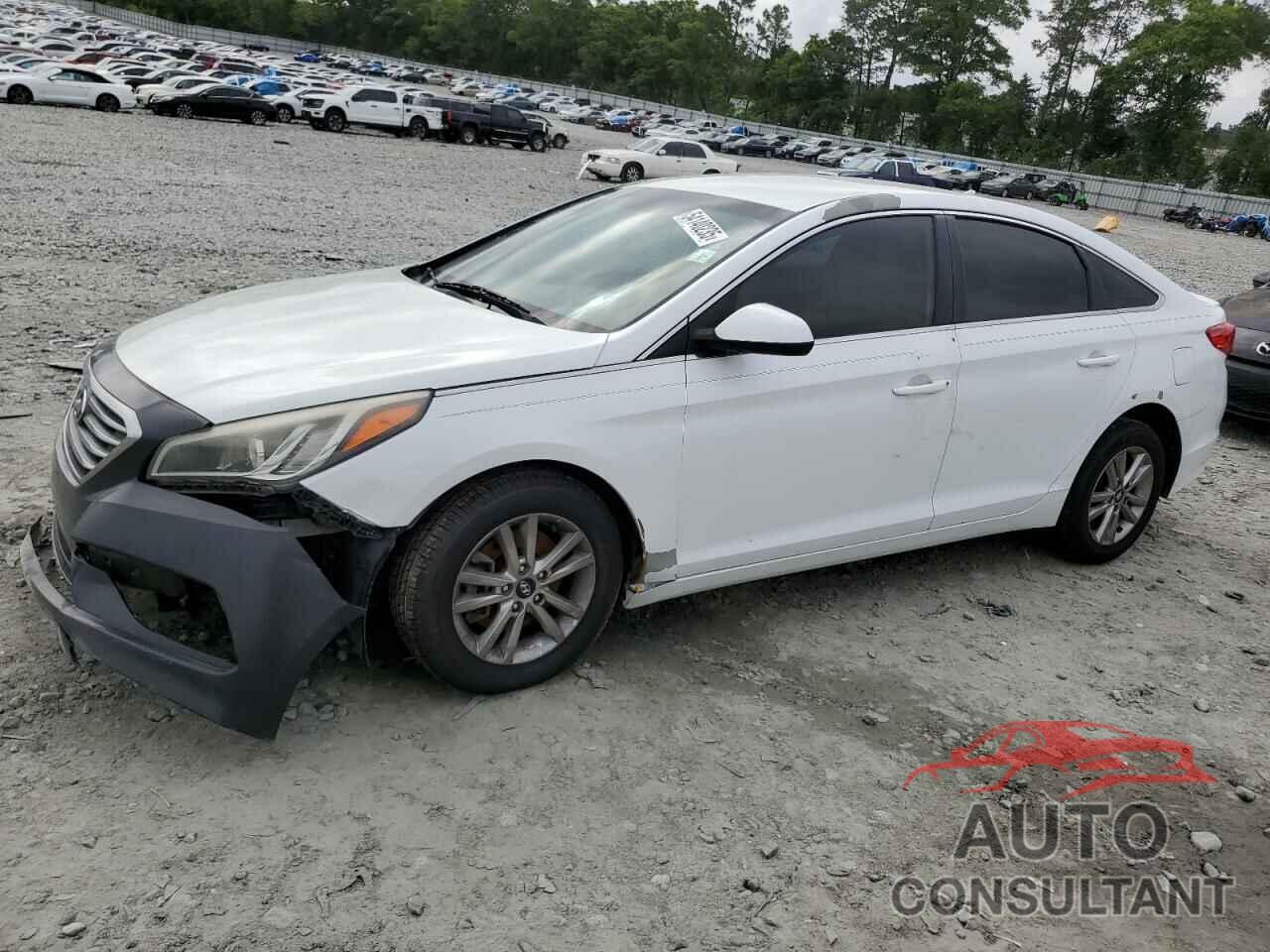 HYUNDAI SONATA 2016 - 5NPE24AF7GH403044