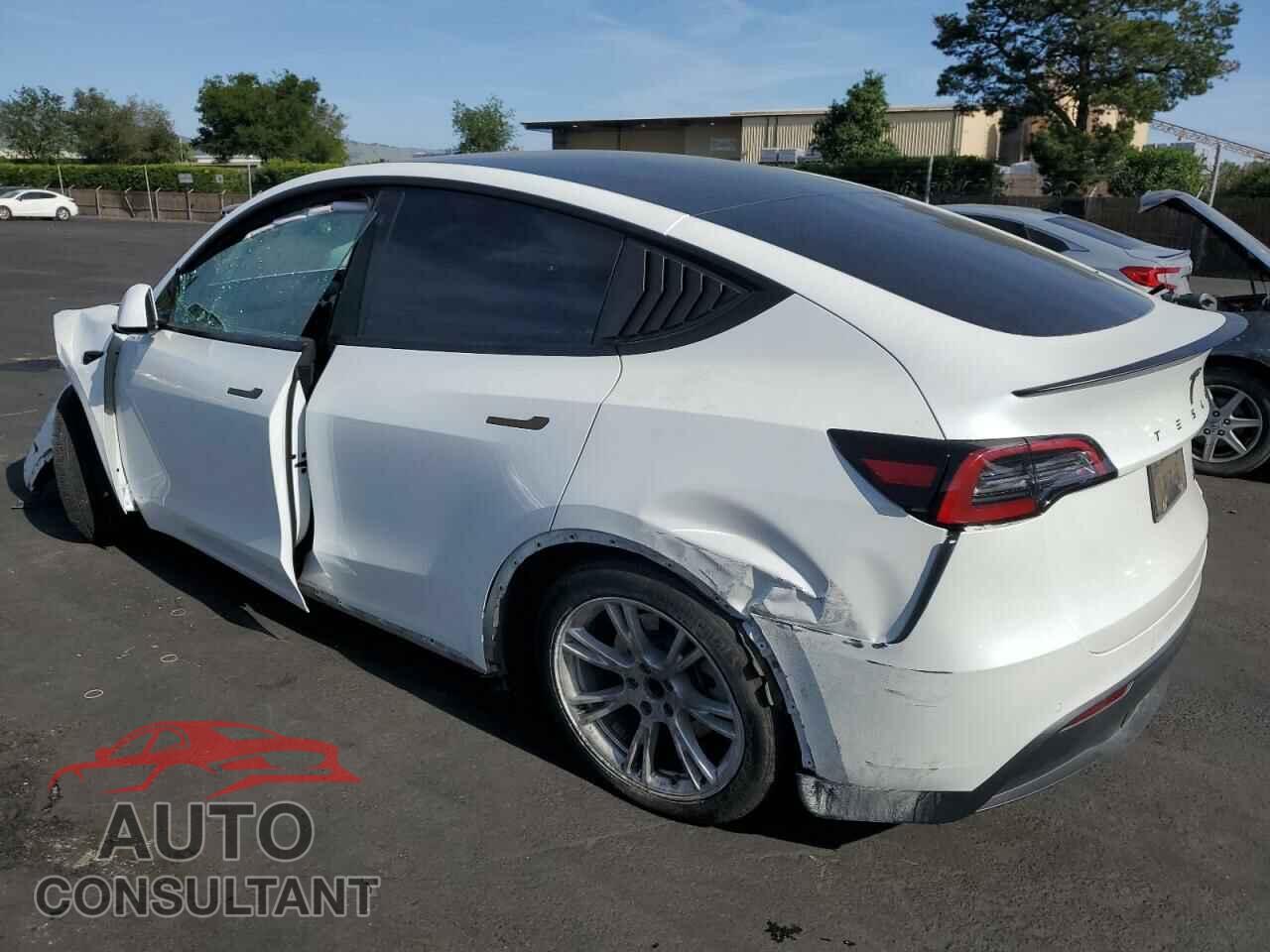 TESLA MODEL Y 2021 - 5YJYGAEE1MF305491
