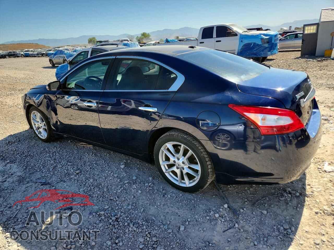 NISSAN MAXIMA 2011 - 1N4AA5AP7BC842996