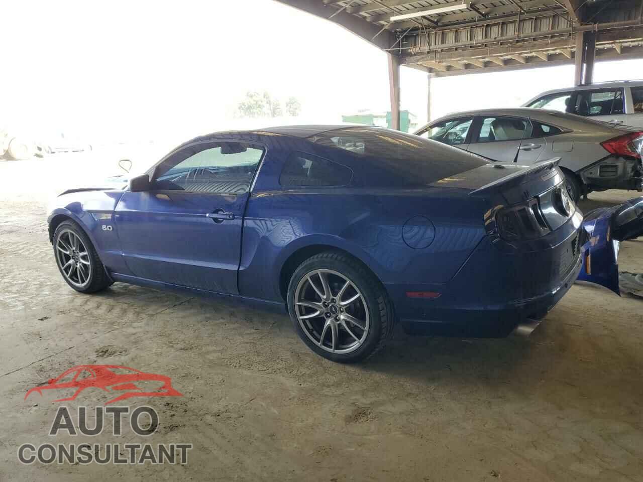 FORD MUSTANG 2014 - 1ZVBP8CF2E5327767