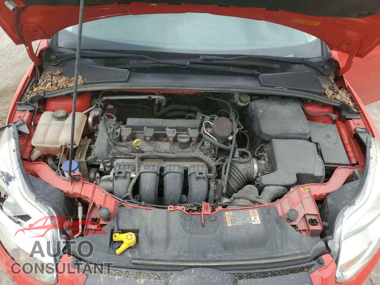 FORD FOCUS 2014 - 1FADP3F25EL379869