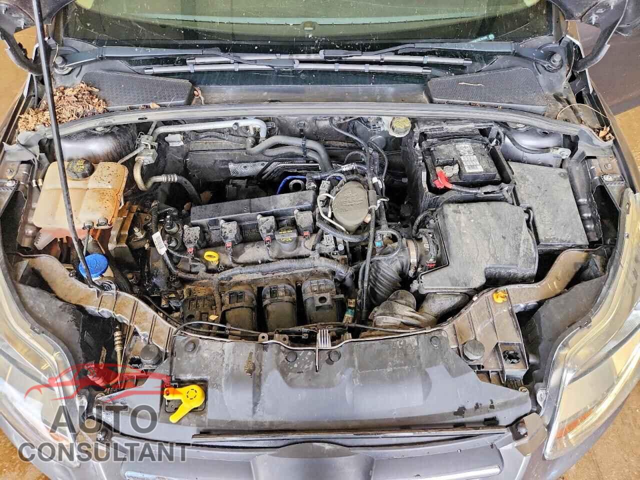FORD FOCUS 2014 - 1FADP3K27EL181560
