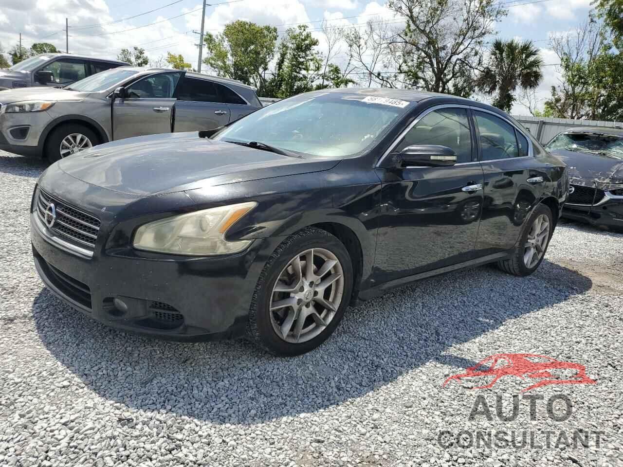 NISSAN MAXIMA 2011 - 1N4AA5AP8BC862058