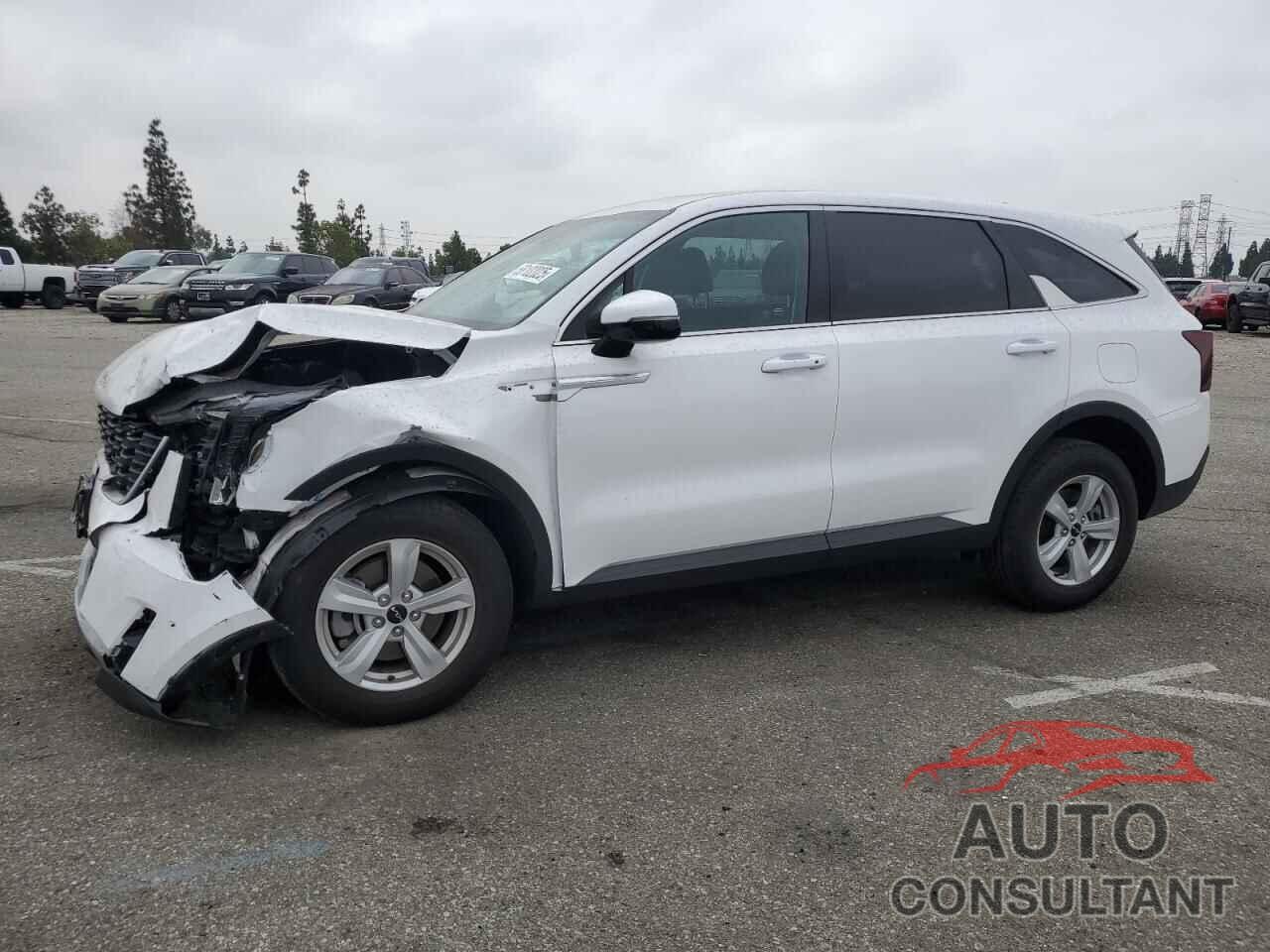 KIA SORENTO 2024 - 5XYRG4JCXRG309422