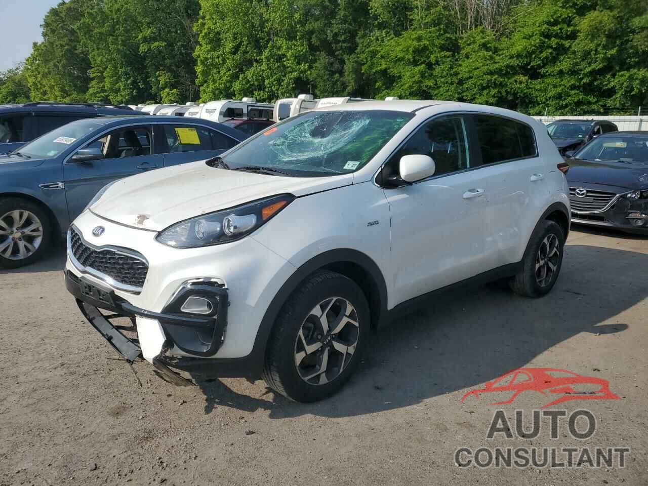 KIA SPORTAGE 2022 - KNDPMCAC5N7024371