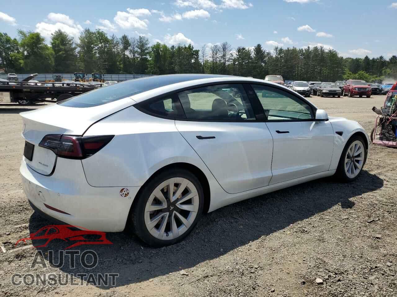 TESLA MODEL 3 2021 - 5YJ3E1EB8MF916589