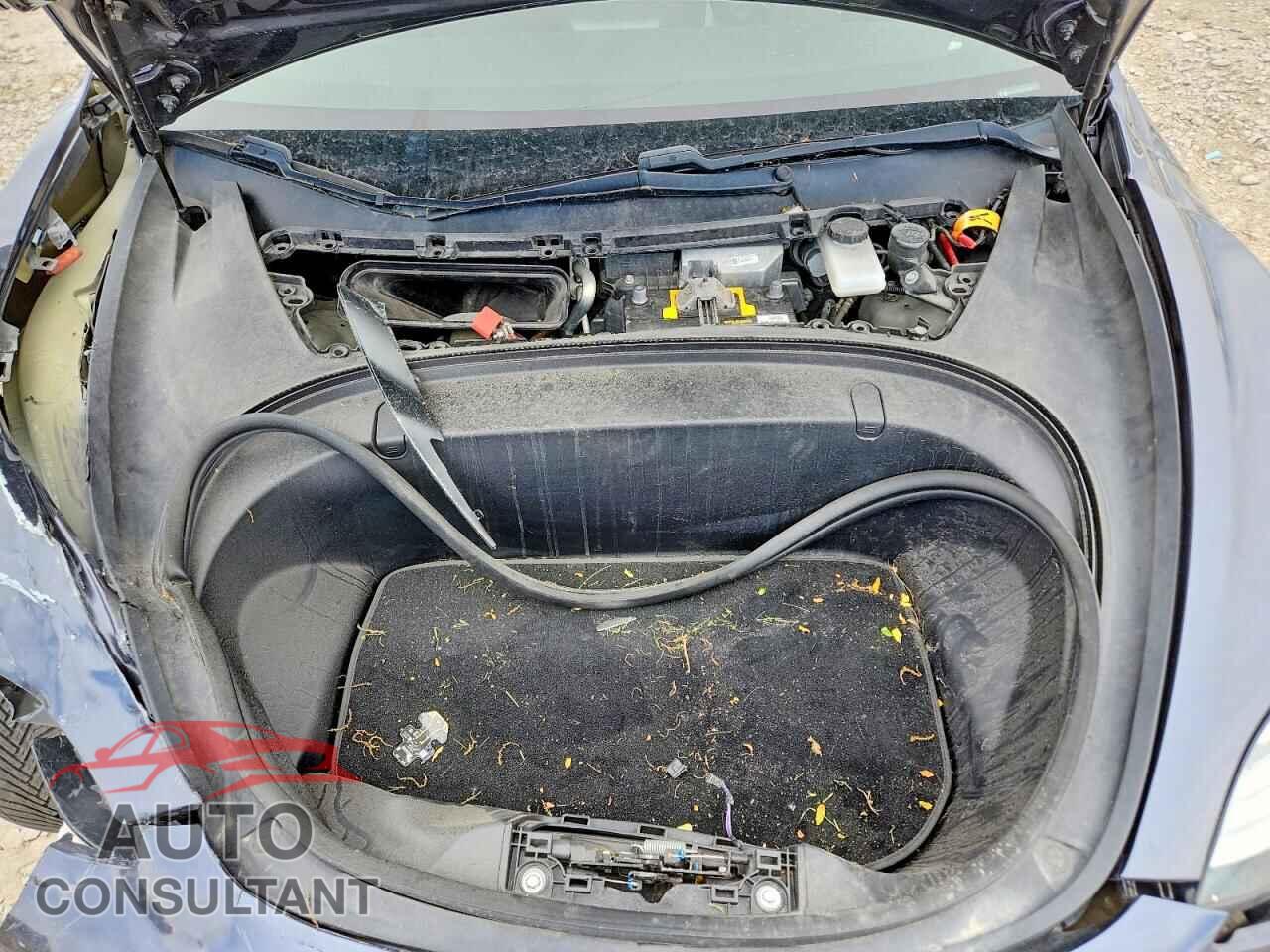TESLA MODEL 3 2018 - 5YJ3E1EB3JF181354