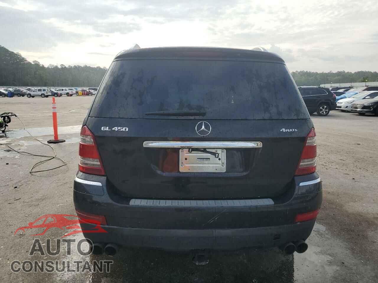 MERCEDES-BENZ GL-CLASS 2009 - 4JGBF71E59A521227