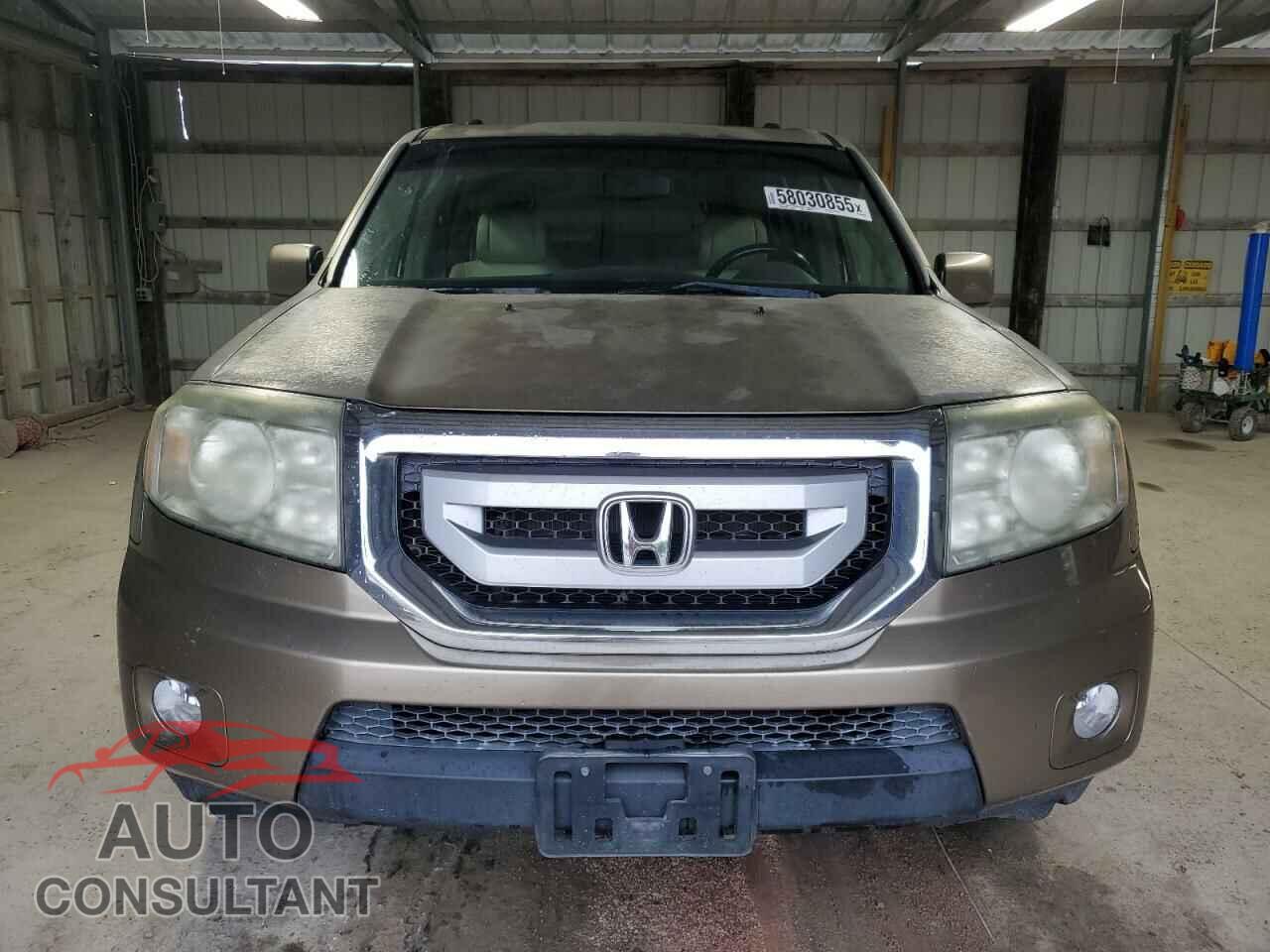 HONDA PILOT 2009 - 5FNYF38579B018576